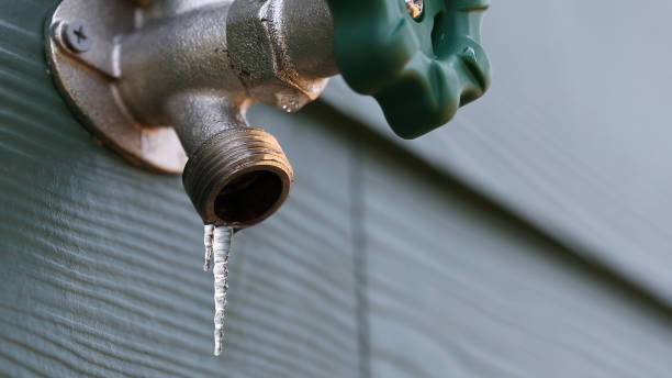 Best Local Plumber Services  in East Northport, NY